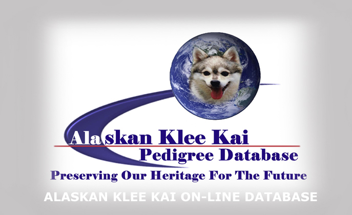 AKK Database Logo
